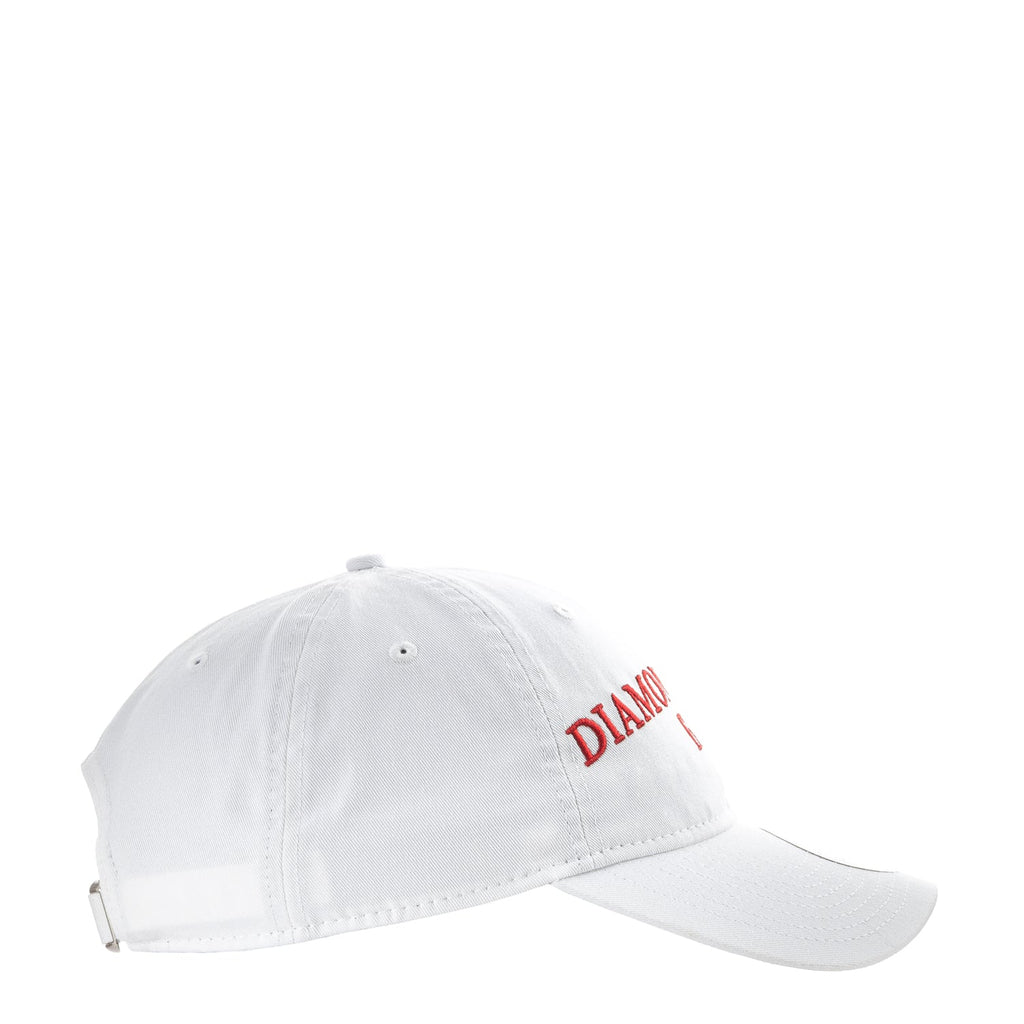 Diamondbacks Team Fan 920